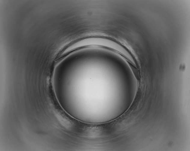 X0000090610063200707241115