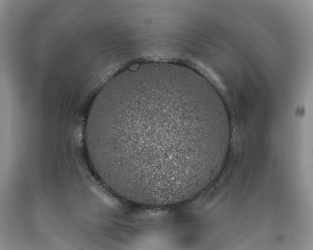 X0000090610065200707241115