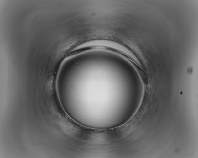 X0000090610066200707241115