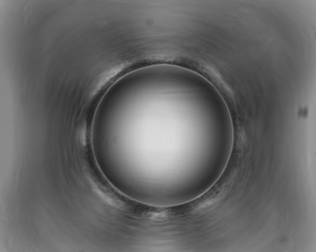 X0000090610068200707241115