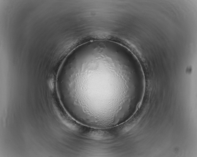 X0000090610069200707241115