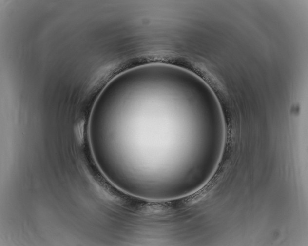 X0000090610070200707241115