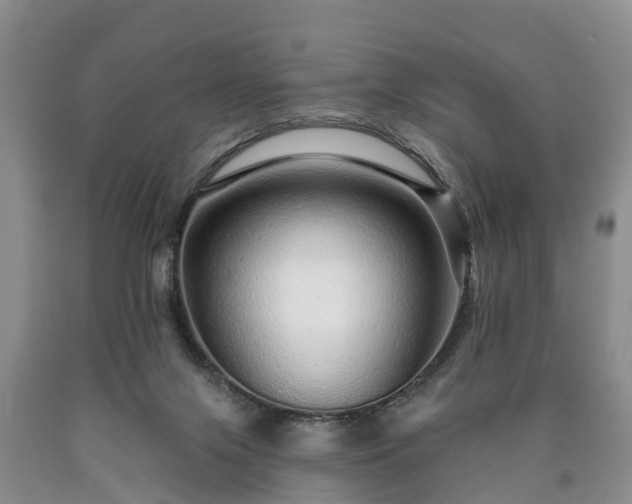 X0000090610071200707241115