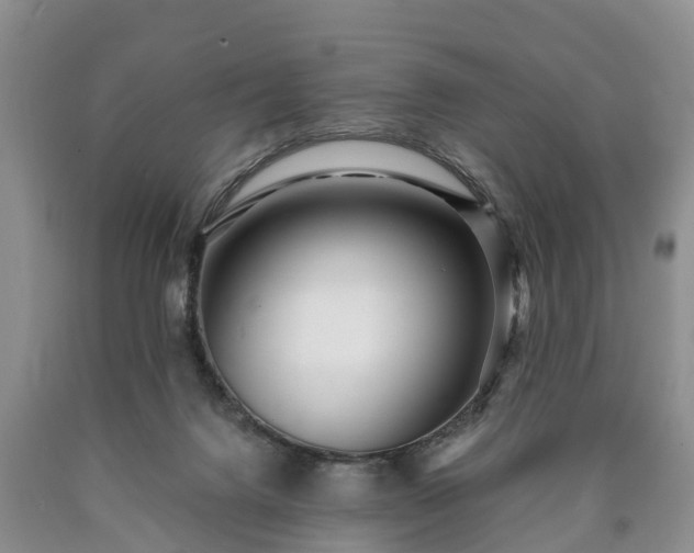 X0000090610072200707241115