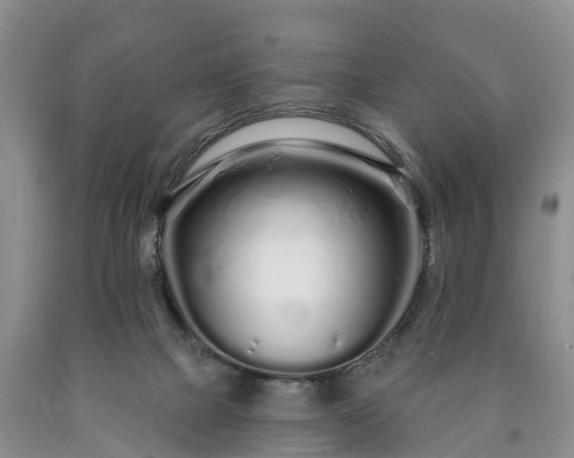 X0000090610073200707241115