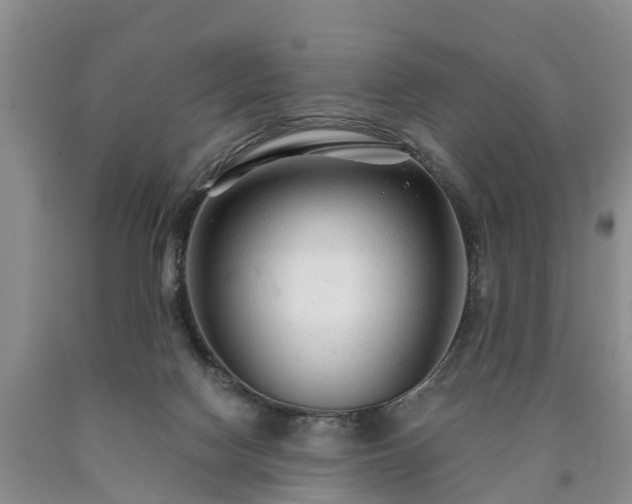 X0000090610074200707241115