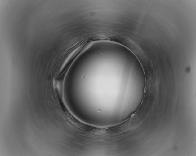 X0000090610075200707241115