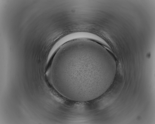 X0000090610076200707241115