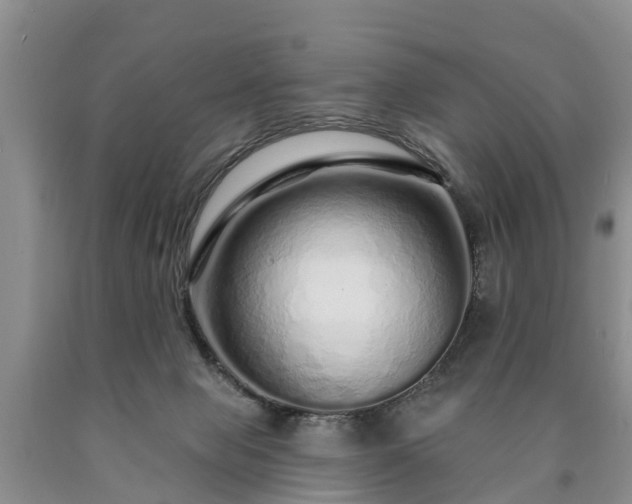 X0000090610077200707241116