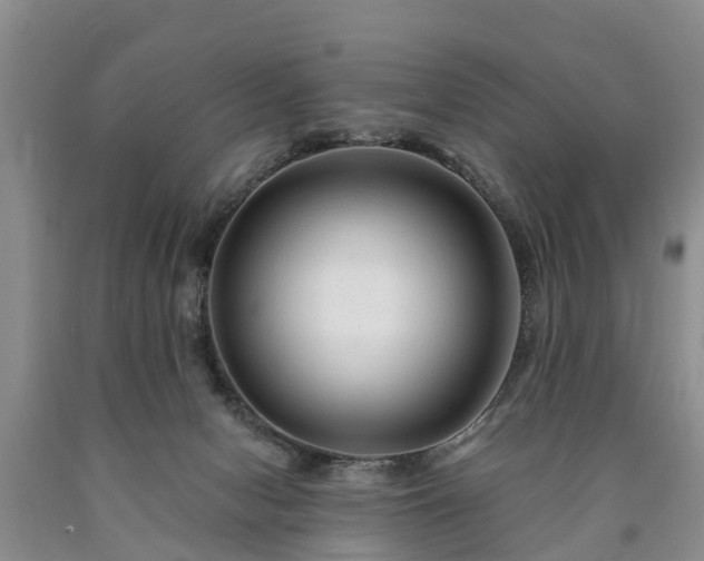 X0000090610078200707241116