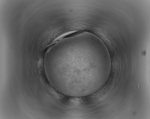 X0000090610079200707241116