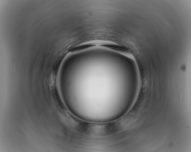 X0000090610081200707241116