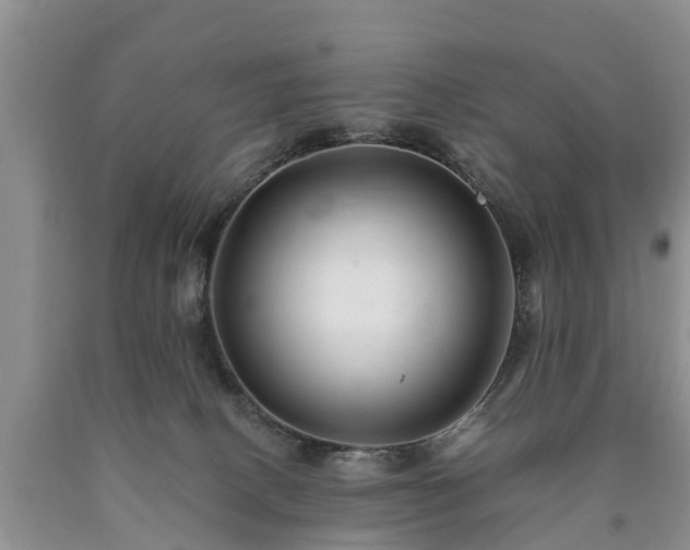 X0000090610082200707241116