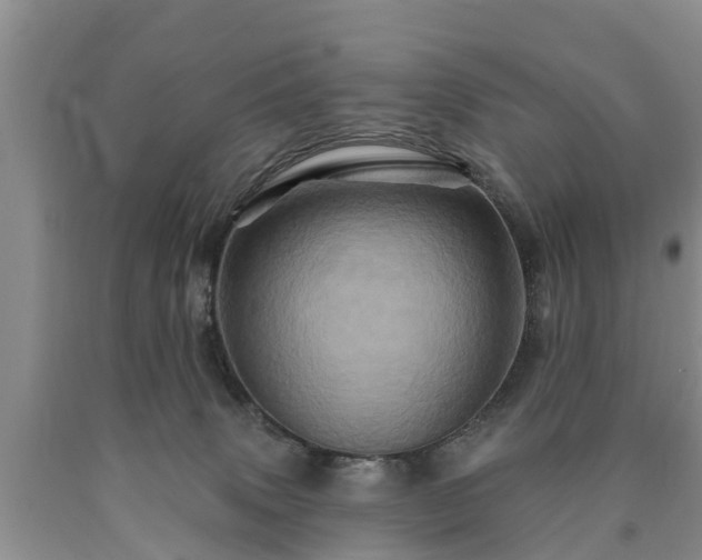 X0000090610083200707241116