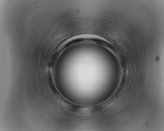 X0000090610084200707241116