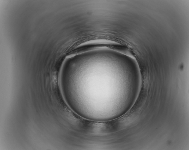 X0000090610085200707241116