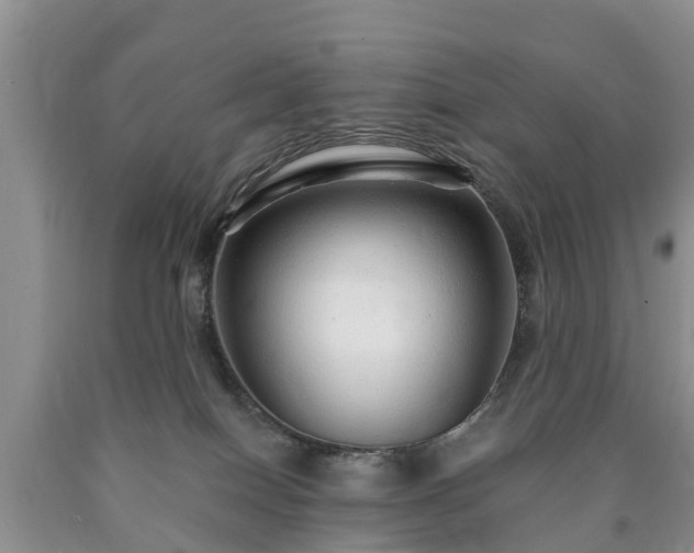 X0000090610086200707241116