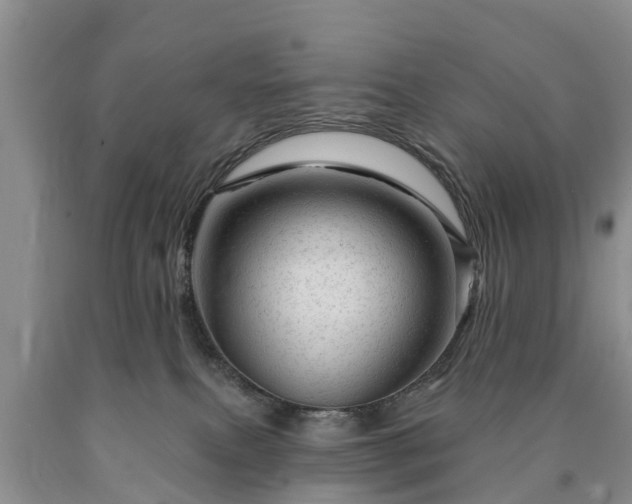 X0000090610087200707241116