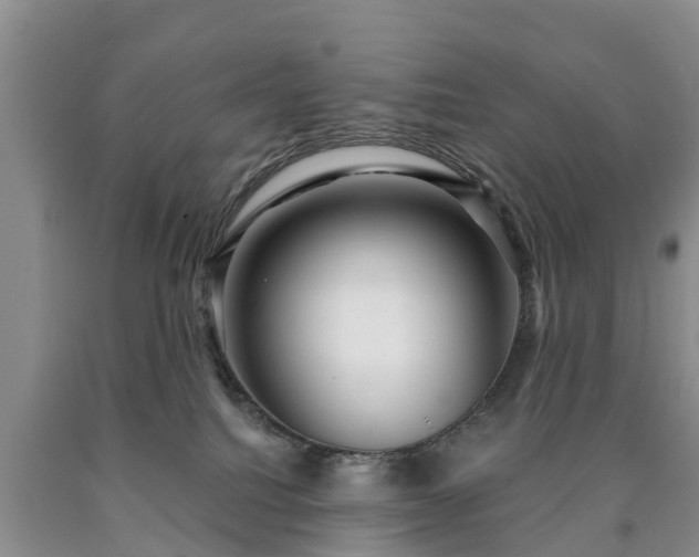 X0000090610088200707241116