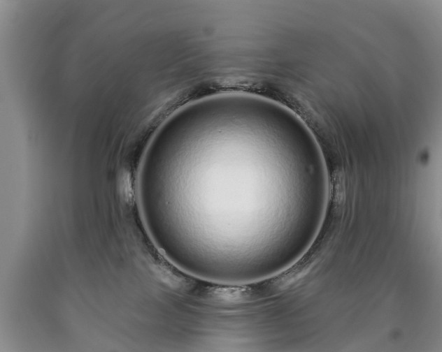 X0000090610089200707241116