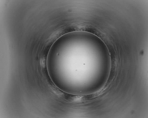 X0000090610090200707241116