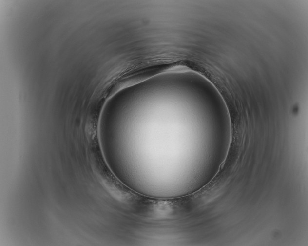 X0000090610091200707241116