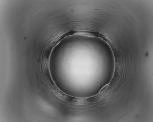 X0000090610093200707241116