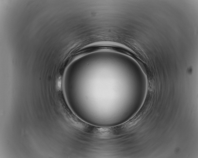 X0000090610095200707241116