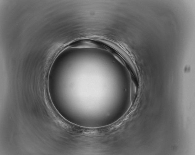 X0000090610097200707241115