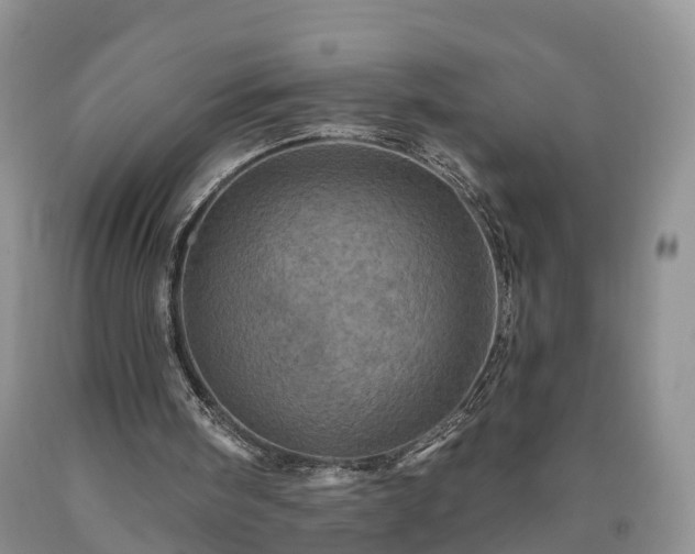 X0000090610098200707241115