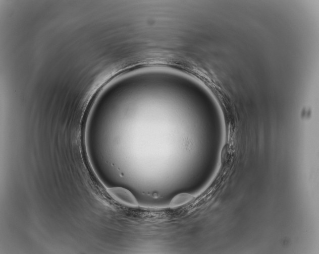 X0000090610099200707241115