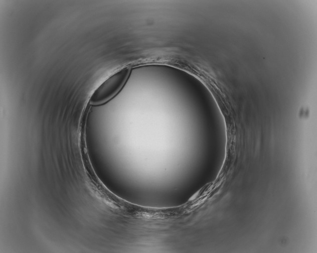 X0000090610100200707241115