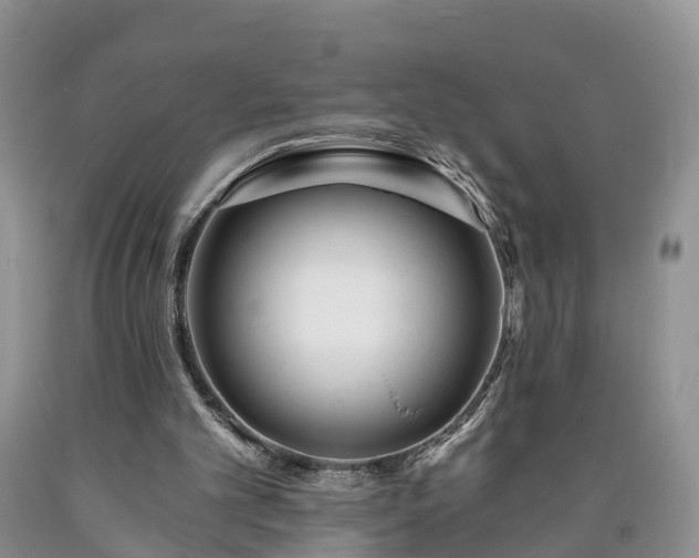 X0000090610101200707241115