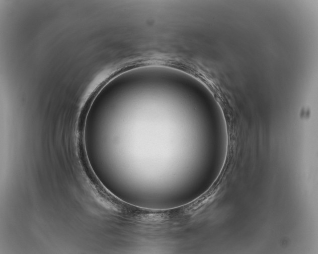 X0000090610102200707241115