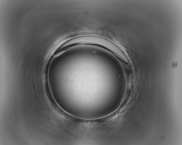 X0000090610103200707241115