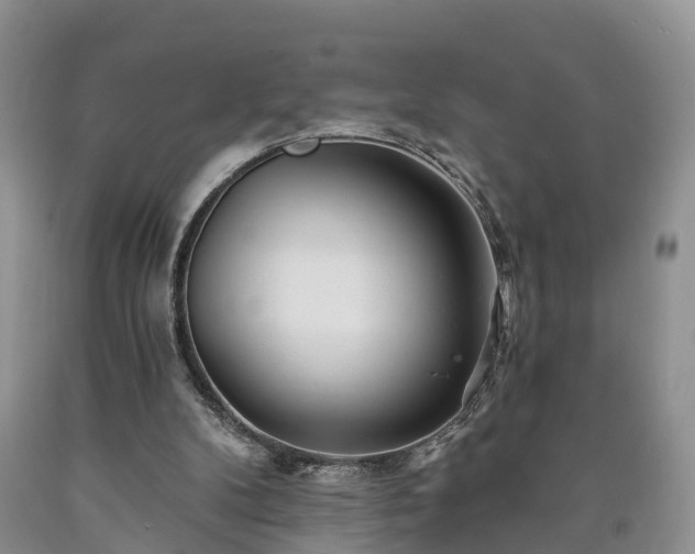 X0000090610104200707241115