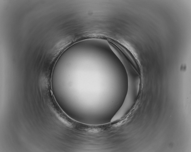 X0000090610105200707241115