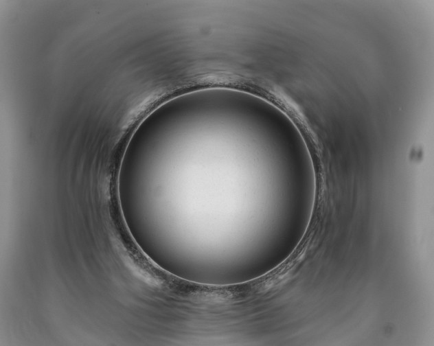 X0000090610106200707241115