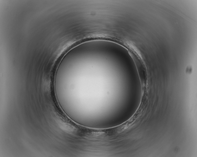 X0000090610108200707241115