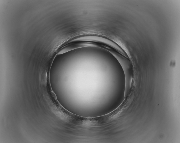 X0000090610109200707241115