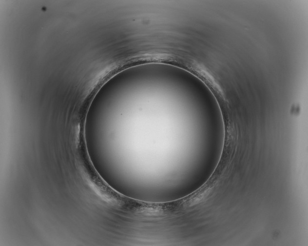 X0000090610110200707241115