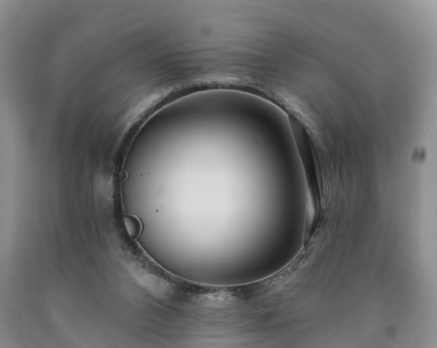 X0000090610112200707241115