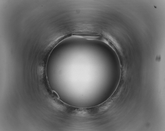 X0000090610113200707241115