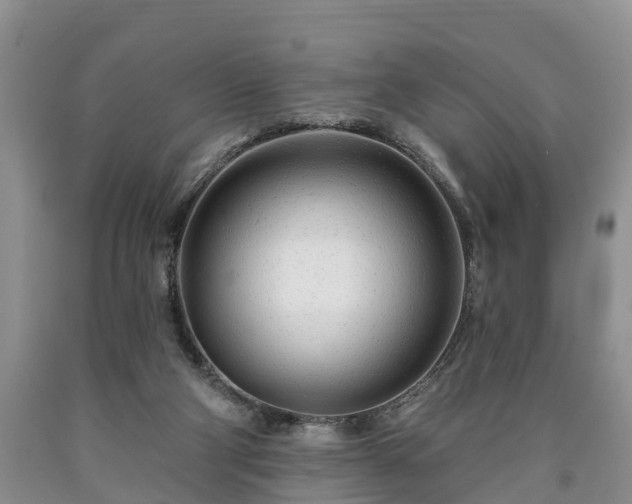 X0000090610114200707241115