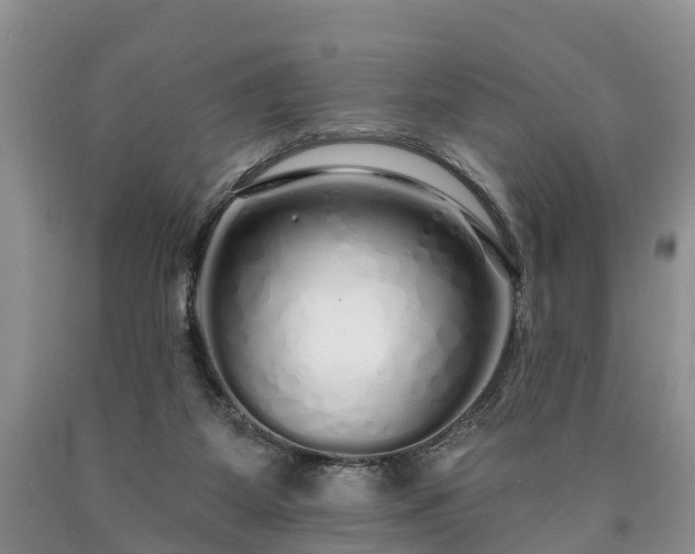 X0000090610115200707241115