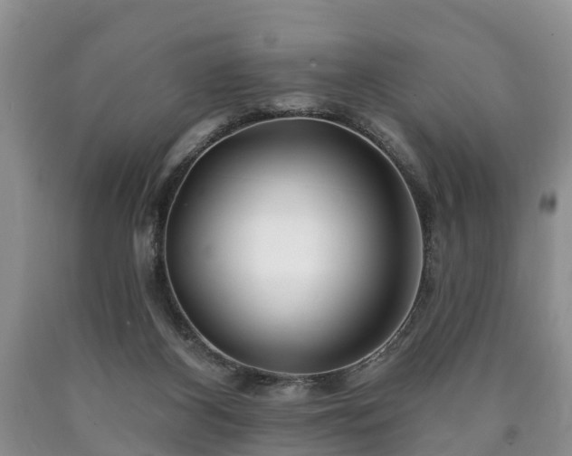 X0000090610116200707241115