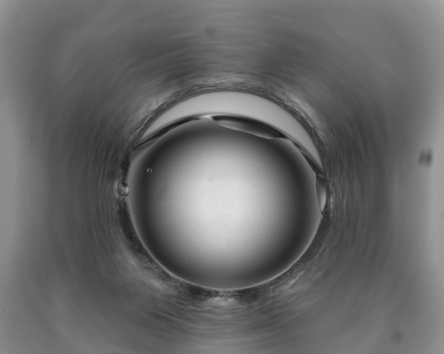 X0000090610119200707241115