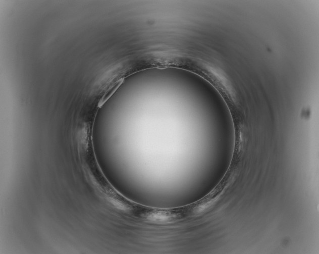 X0000090610121200707241115