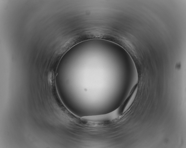 X0000090610122200707241115