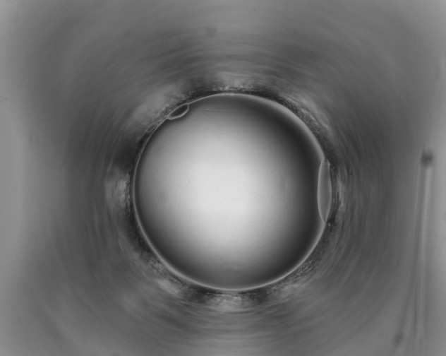 X0000090610123200707241115